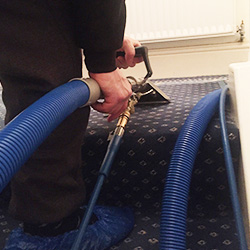 Carpet Cleaning