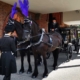 horse-drawn-funeral-in-sutton-coldfield